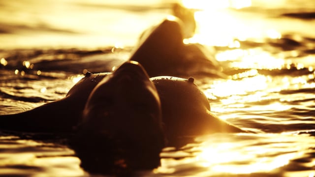 Sunlight Nips - 3840x2160